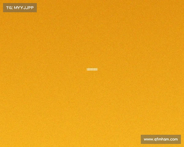 猛龙队最新消息